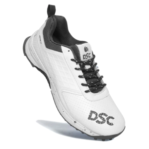 DSC Jaffa 22 Cricket Shoes for Men's